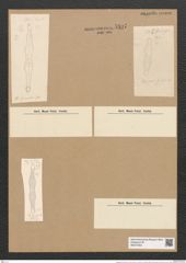 Plagiogramma spinosum Cleve (de-Toni-Nr.: Genus 83, Species 2906) Zeichnungen Sammlung Grunow Nr. 5897 (NHMW-BOT-W0374353)
